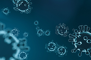 Informations coronavirus